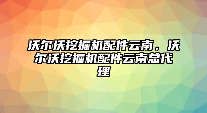 沃爾沃挖掘機配件云南，沃爾沃挖掘機配件云南總代理