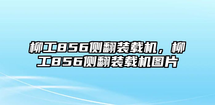 柳工856側(cè)翻裝載機，柳工856側(cè)翻裝載機圖片