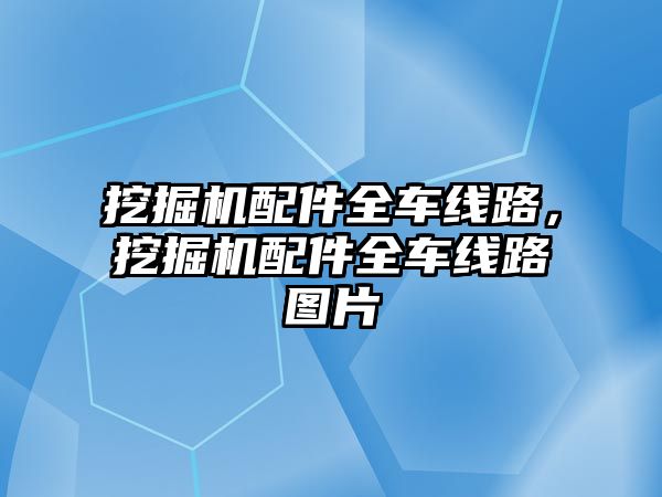 挖掘機配件全車線路，挖掘機配件全車線路圖片