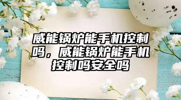 威能鍋爐能手機控制嗎，威能鍋爐能手機控制嗎安全嗎