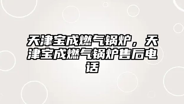 天津?qū)毘扇細(xì)忮仩t，天津?qū)毘扇細(xì)忮仩t售后電話