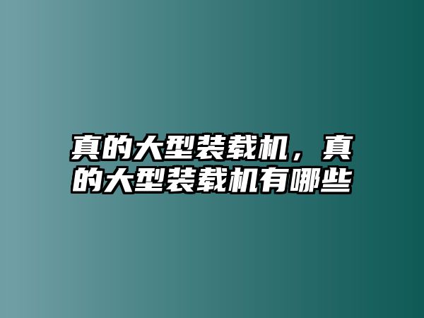 真的大型裝載機，真的大型裝載機有哪些