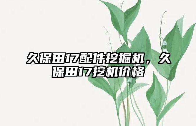 久保田17配件挖掘機(jī)，久保田17挖機(jī)價(jià)格