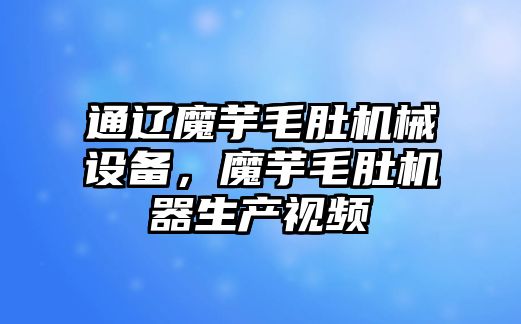 通遼魔芋毛肚機械設(shè)備，魔芋毛肚機器生產(chǎn)視頻