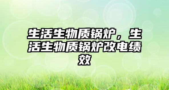 生活生物質(zhì)鍋爐，生活生物質(zhì)鍋爐改電績(jī)效