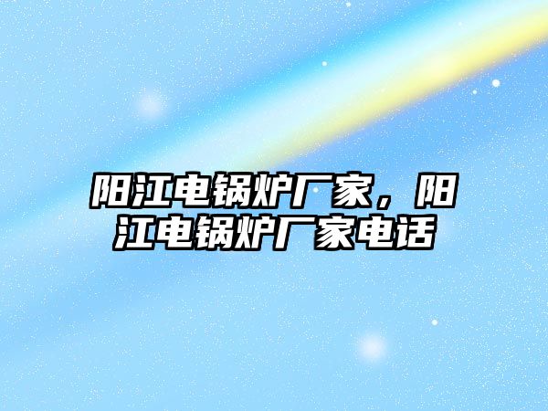 陽江電鍋爐廠家，陽江電鍋爐廠家電話