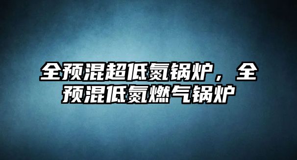 全預(yù)混超低氮鍋爐，全預(yù)混低氮燃?xì)忮仩t