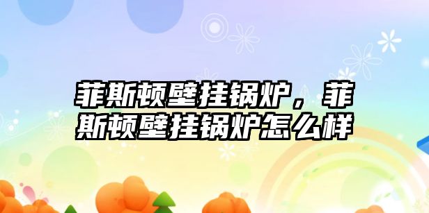 菲斯頓壁掛鍋爐，菲斯頓壁掛鍋爐怎么樣