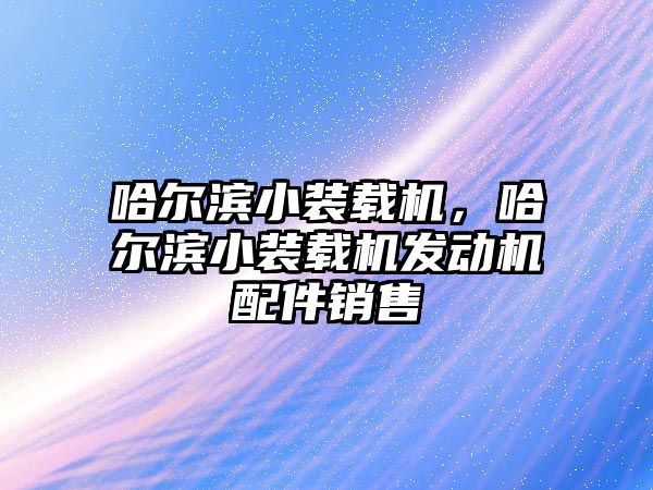 哈爾濱小裝載機，哈爾濱小裝載機發(fā)動機配件銷售