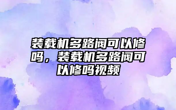 裝載機(jī)多路閥可以修嗎，裝載機(jī)多路閥可以修嗎視頻