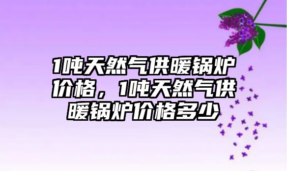 1噸天然氣供暖鍋爐價格，1噸天然氣供暖鍋爐價格多少