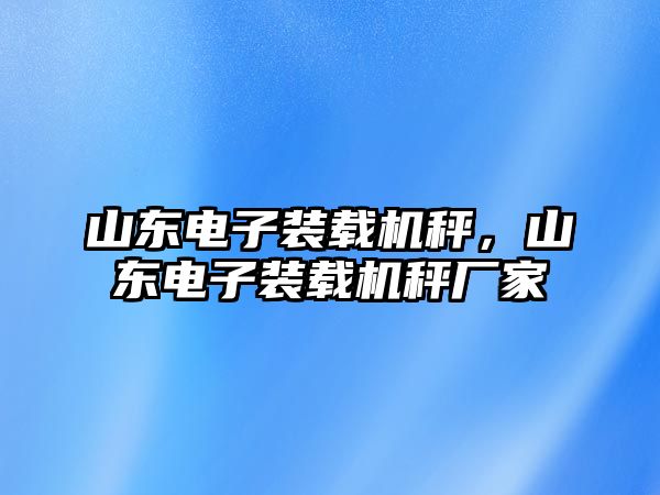 山東電子裝載機秤，山東電子裝載機秤廠家