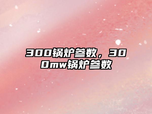 300鍋爐參數(shù)，300mw鍋爐參數(shù)