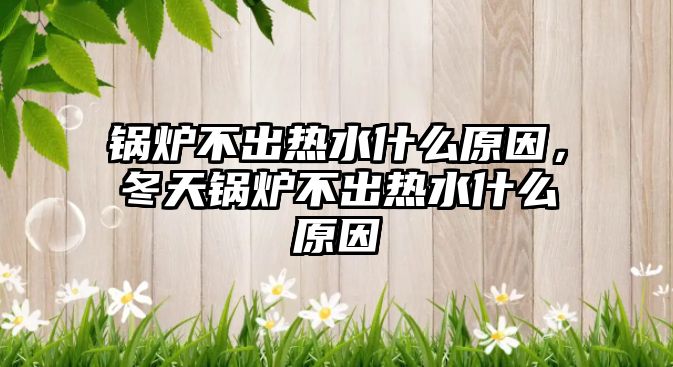 鍋爐不出熱水什么原因，冬天鍋爐不出熱水什么原因