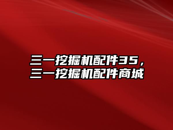 三一挖掘機(jī)配件35，三一挖掘機(jī)配件商城