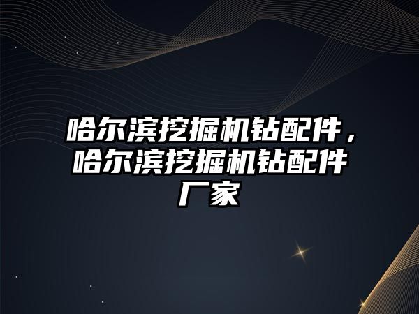 哈爾濱挖掘機鉆配件，哈爾濱挖掘機鉆配件廠家