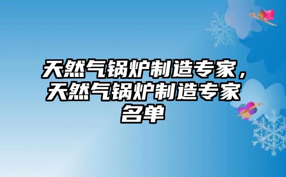 天然氣鍋爐制造專家，天然氣鍋爐制造專家名單