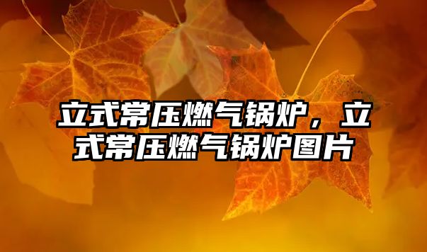 立式常壓燃?xì)忮仩t，立式常壓燃?xì)忮仩t圖片