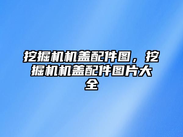 挖掘機機蓋配件圖，挖掘機機蓋配件圖片大全