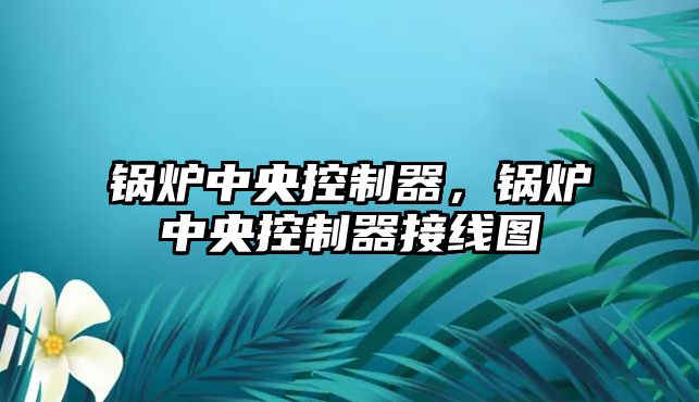 鍋爐中央控制器，鍋爐中央控制器接線圖