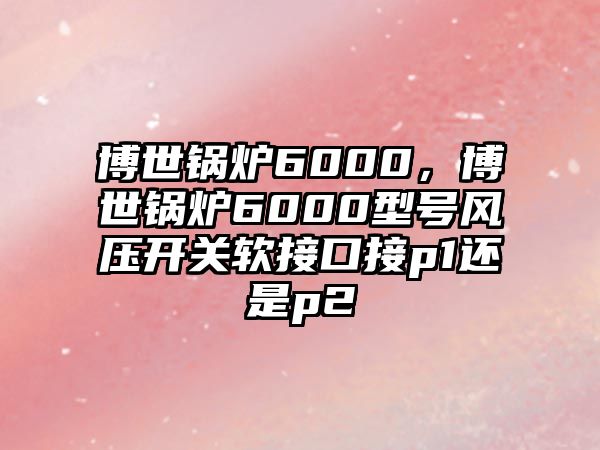 博世鍋爐6000，博世鍋爐6000型號風(fēng)壓開關(guān)軟接口接p1還是p2