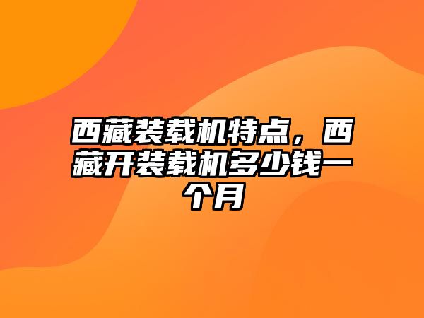 西藏裝載機特點，西藏開裝載機多少錢一個月