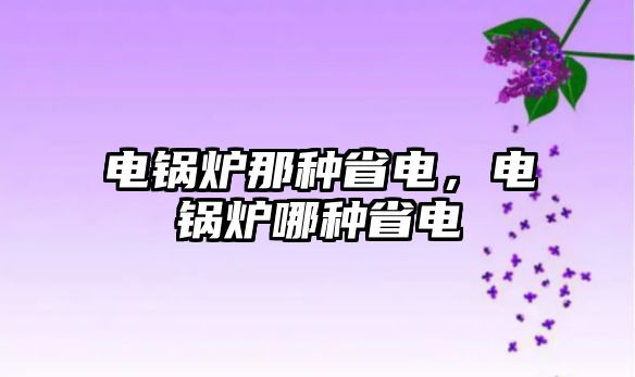 電鍋爐那種省電，電鍋爐哪種省電