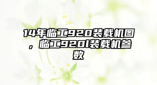 14年臨工920裝載機(jī)圖，臨工920l裝載機(jī)參數(shù)