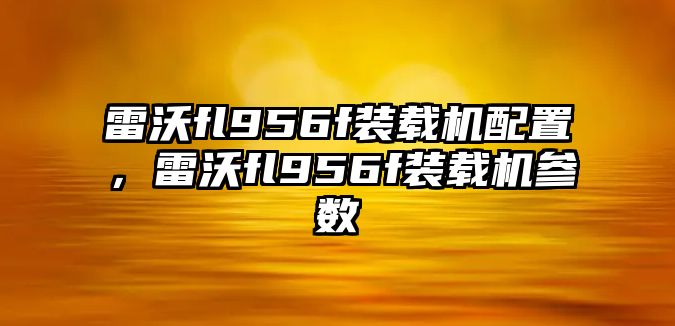 雷沃fl956f裝載機配置，雷沃fl956f裝載機參數(shù)