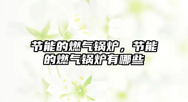 節(jié)能的燃?xì)忮仩t，節(jié)能的燃?xì)忮仩t有哪些