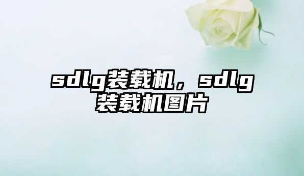 sdlg裝載機(jī)，sdlg裝載機(jī)圖片