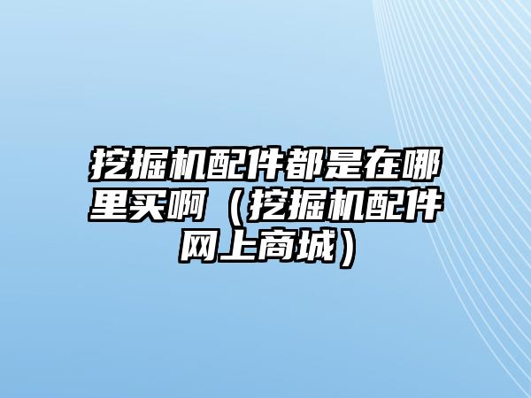 挖掘機(jī)配件都是在哪里買?。ㄍ诰驒C(jī)配件網(wǎng)上商城）