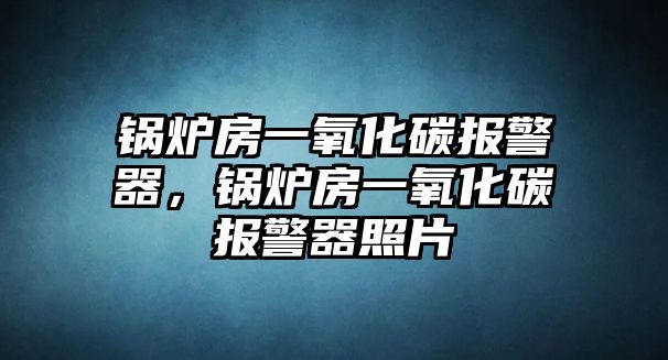 鍋爐房一氧化碳報(bào)警器，鍋爐房一氧化碳報(bào)警器照片