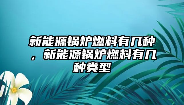 新能源鍋爐燃料有幾種，新能源鍋爐燃料有幾種類型