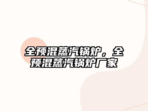 全預(yù)混蒸汽鍋爐，全預(yù)混蒸汽鍋爐廠家