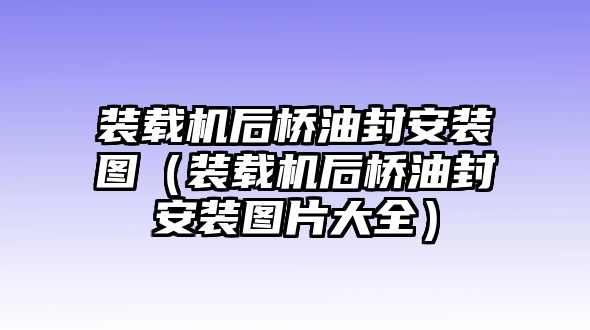 裝載機(jī)后橋油封安裝圖（裝載機(jī)后橋油封安裝圖片大全）