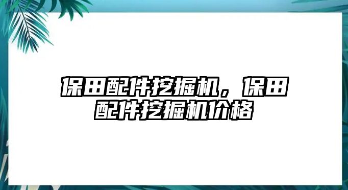 保田配件挖掘機(jī)，保田配件挖掘機(jī)價格