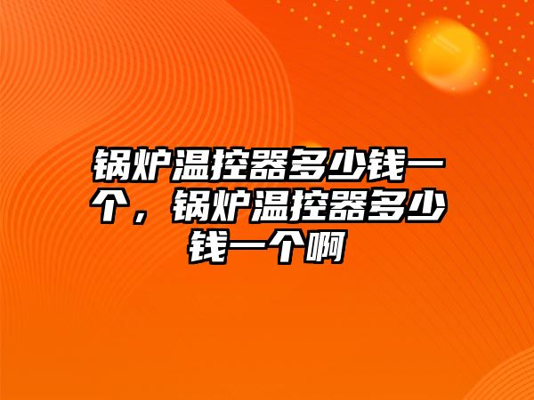 鍋爐溫控器多少錢一個(gè)，鍋爐溫控器多少錢一個(gè)啊