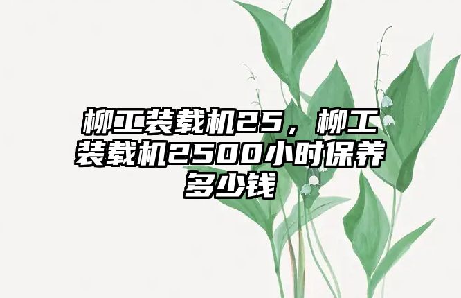 柳工裝載機(jī)25，柳工裝載機(jī)2500小時(shí)保養(yǎng)多少錢