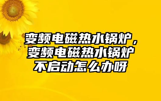 變頻電磁熱水鍋爐，變頻電磁熱水鍋爐不啟動(dòng)怎么辦呀