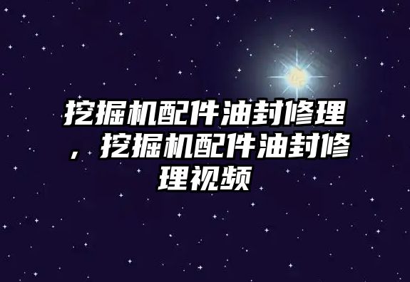 挖掘機配件油封修理，挖掘機配件油封修理視頻