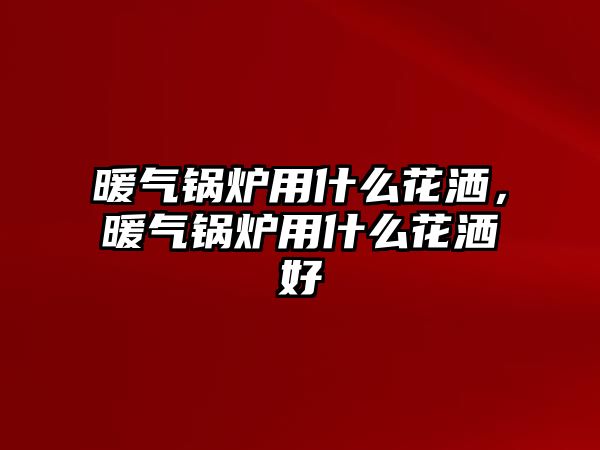 暖氣鍋爐用什么花灑，暖氣鍋爐用什么花灑好