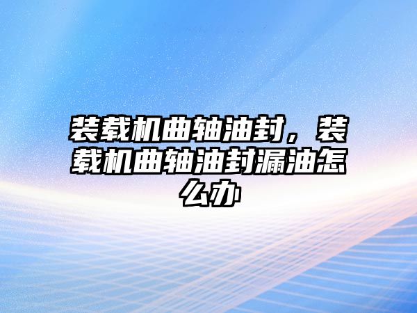 裝載機曲軸油封，裝載機曲軸油封漏油怎么辦