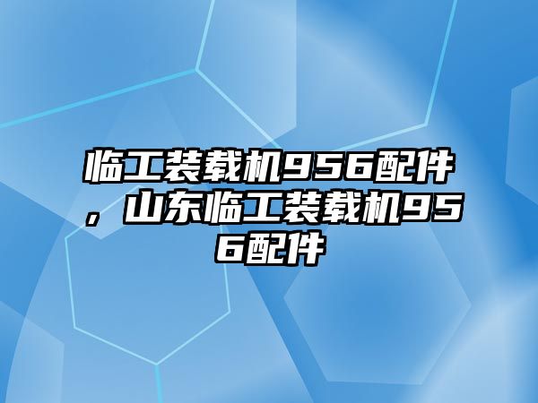 臨工裝載機(jī)956配件，山東臨工裝載機(jī)956配件