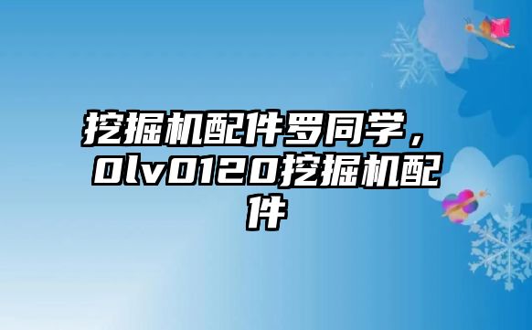 挖掘機配件羅同學(xué)，ⅴ0lv0120挖掘機配件