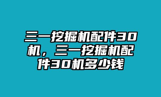 三一挖掘機(jī)配件30機(jī)，三一挖掘機(jī)配件30機(jī)多少錢