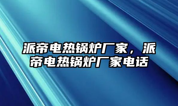 派帝電熱鍋爐廠家，派帝電熱鍋爐廠家電話