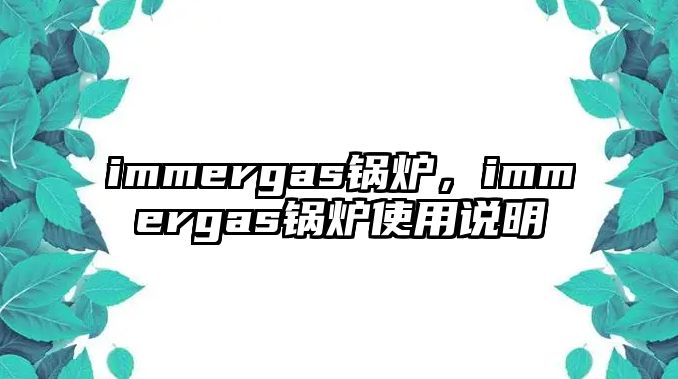 immergas鍋爐，immergas鍋爐使用說明