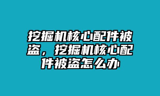 挖掘機核心配件被盜，挖掘機核心配件被盜怎么辦