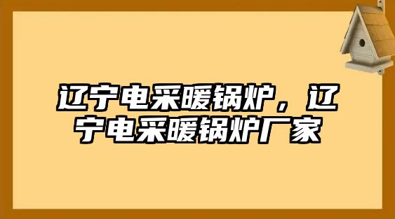 遼寧電采暖鍋爐，遼寧電采暖鍋爐廠家